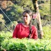 Jeevitha Senthil