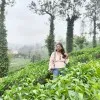 Niharika