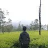 Alfian Dwi Cahyo Nugroho