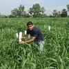 Chetak Bishnoi