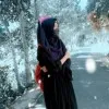 Alisha SEO