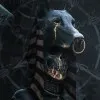 Kodi Luck