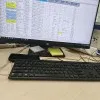 vivo htt2