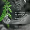 Ravinder Singh