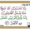 Mostafa Sayed