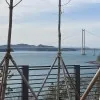 Chang Wan Choi