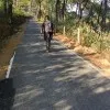 SONU ALAM