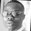 Seun Ogunleye