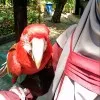 Miftahul Rahmah