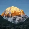 nettim suresh