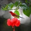 Bhavya Binesh
