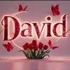 Diamond David Raju Birudugadla