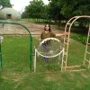 Adeeba Ashraf
