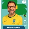 Marcelo Bedin