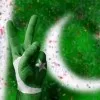 muhammad awais