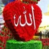 Asmaa Elsayed
