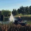 Steve Bauer