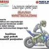 Fera Amelia