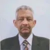 Mahmoud Luttfi