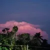 Abith Ashok