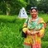 TAHIRA Sharfuddin
