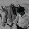 Tharunn Kumar