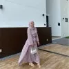 Aini Sofia