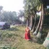 Samina Nasrin Borna