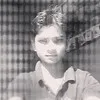 Vikram Mehta