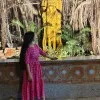 Hema Sharma