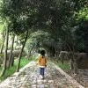 Hailong Yan