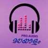 pro audio