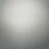 Shannon Braxton