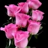 Chithra Devi