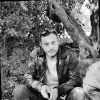 Matvey Fainshtein