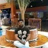 Teddu Venkatesh