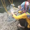 halimaton nazila mohd nordin