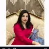Wizra Anwar
