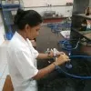 Gauravi Chaudhari