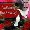 ramesh raja