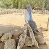 Lamiaa Shehata