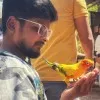 Arun