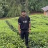 Henan Fathih