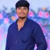 Vijayasarathi
