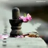 suba lakshmi
