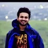 Mayank Muley
