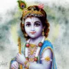 Narasimha Rao Pichikala
