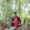 Donat Sius