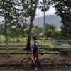 Muhd Firdaus