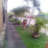 Argelia Loyo